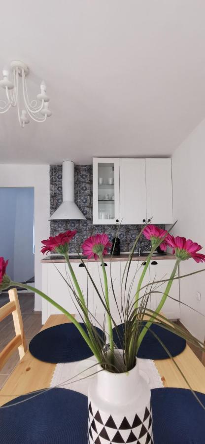 Vacation Home Kovachnica Връбник Екстериор снимка